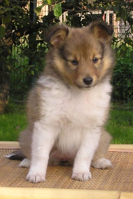 Naši mladički olympus digital camera