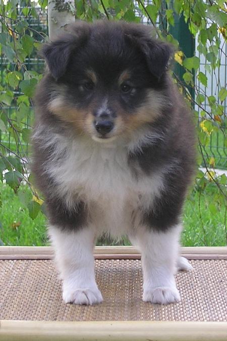 Naši mladički olympus digital camera