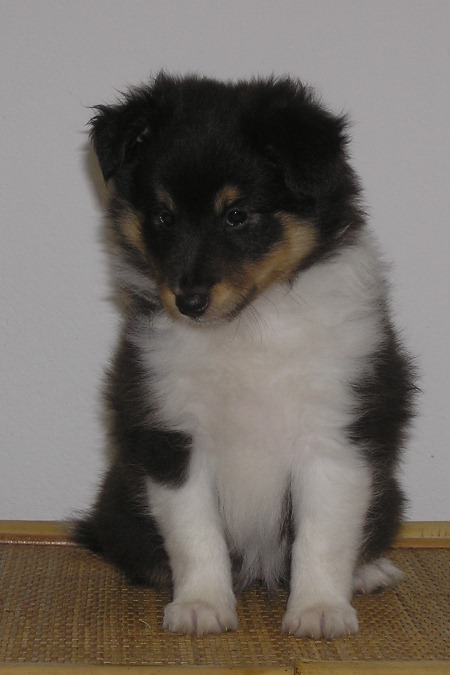 Naši mladički olympus digital camera