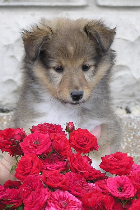 Naši mladički olympus digital camera