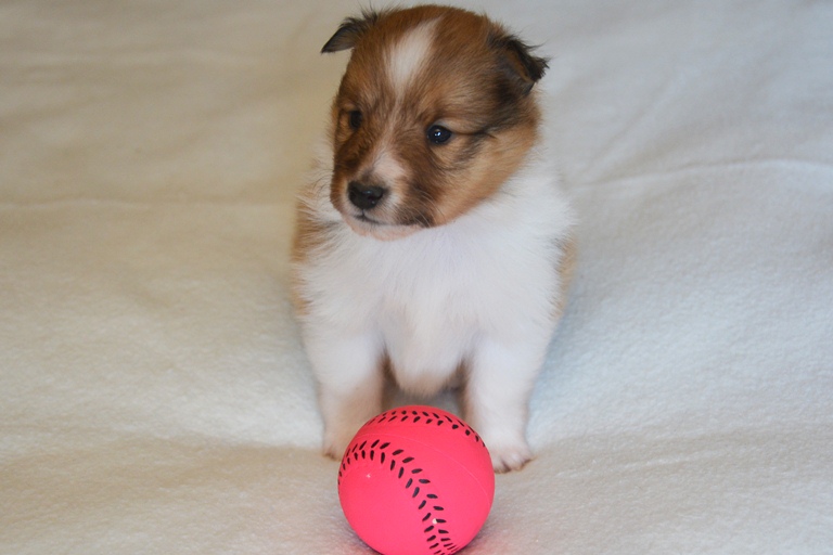 Naši mladički river 2